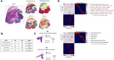 3D multiplexed tissue imaging reconstruction and optimized region of interest (ROI) selection through deep learning model of channels embedding